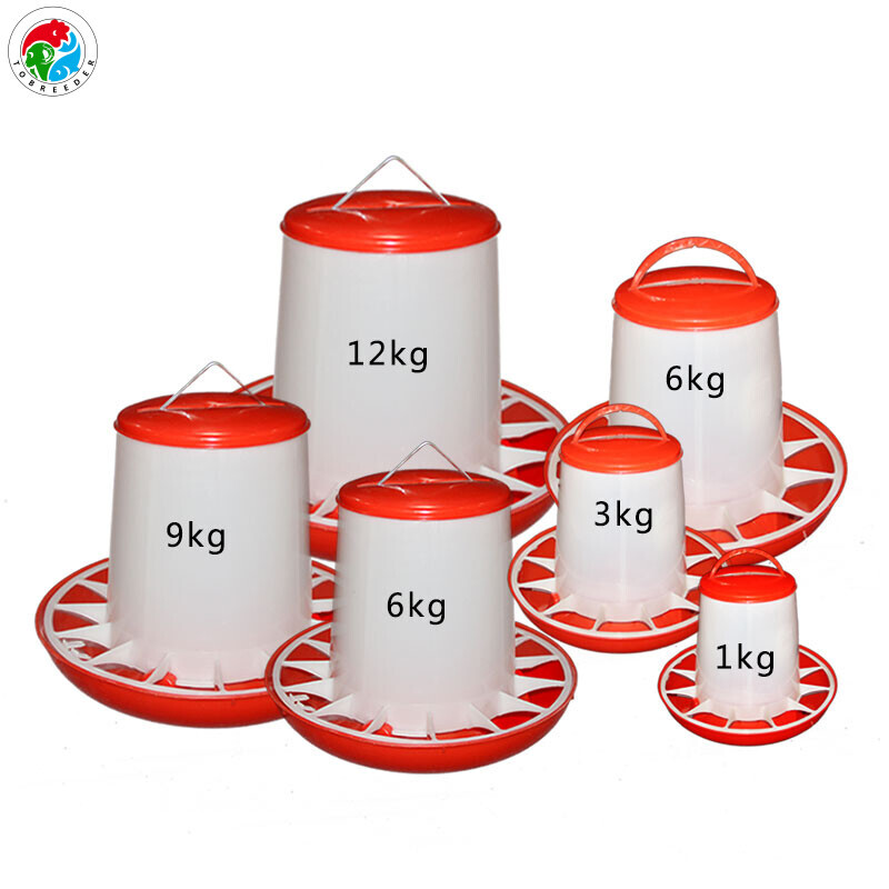 Chicken Feeder