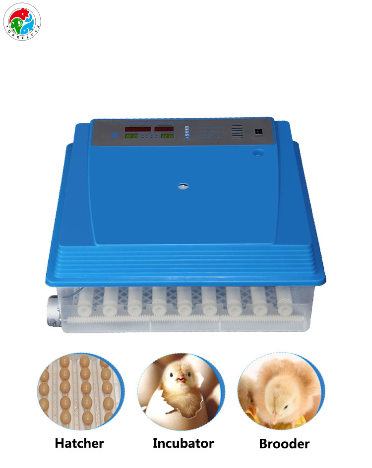 Mini Egg Incubator
