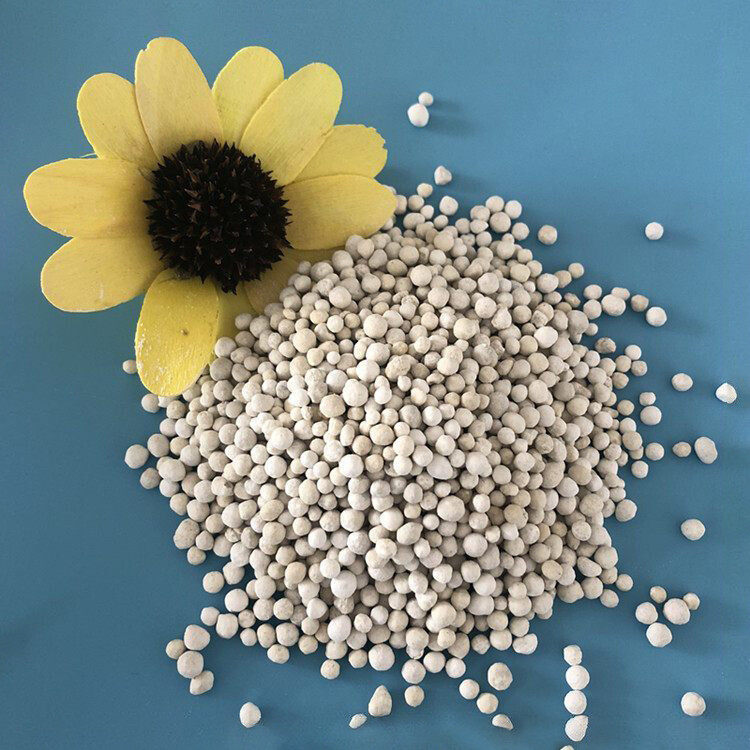 Magnesium monohydrate granules