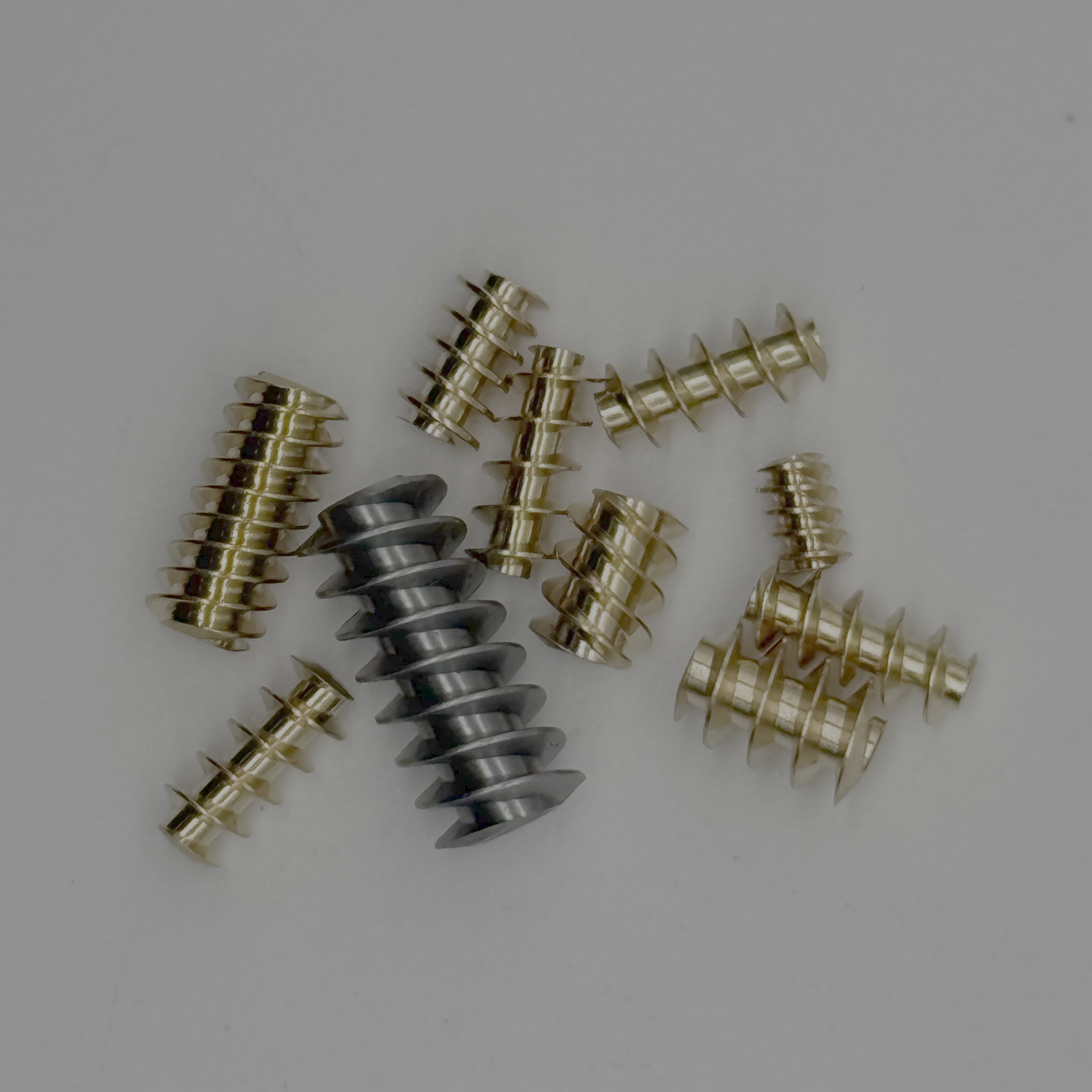 Gear worm-10