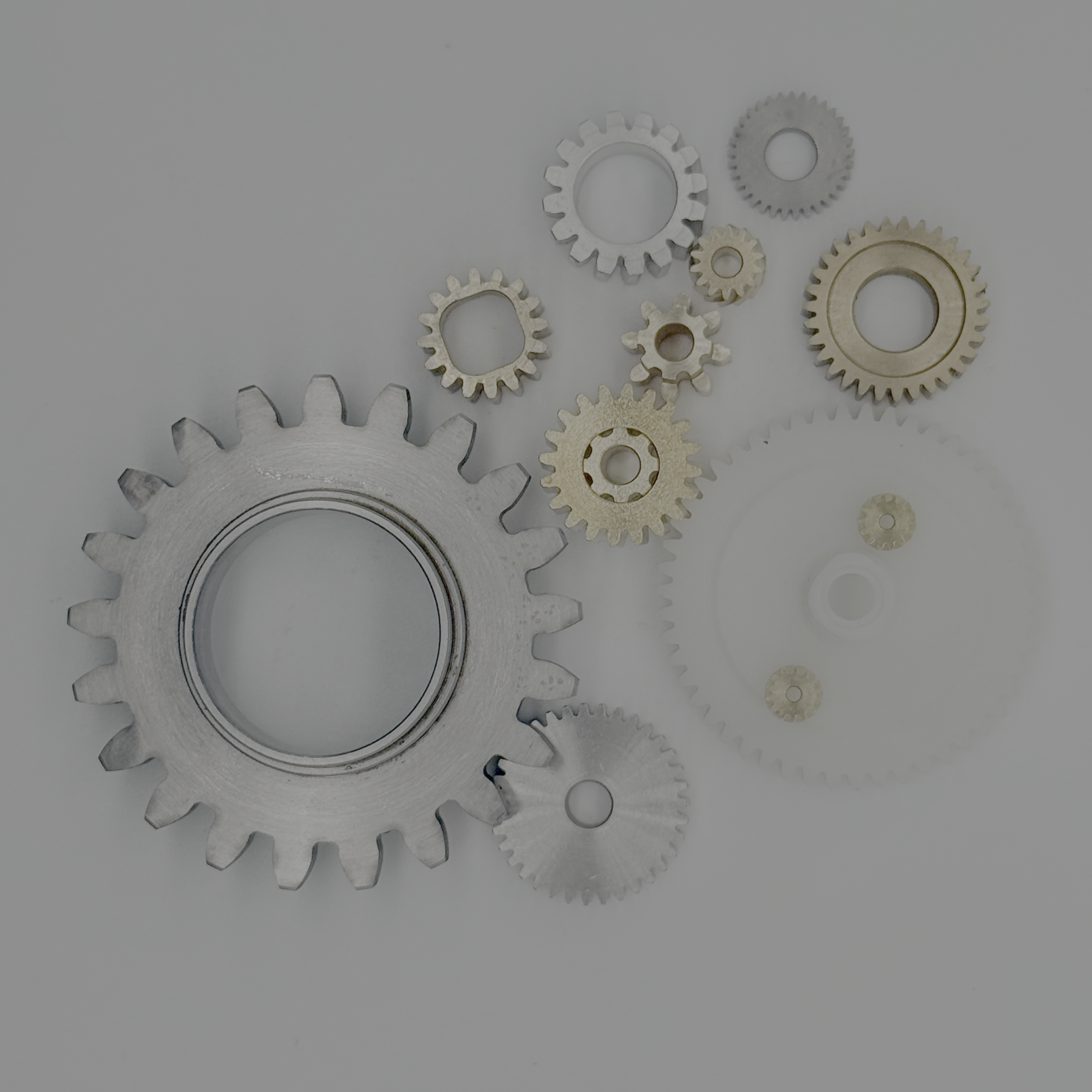 Gear worm-11