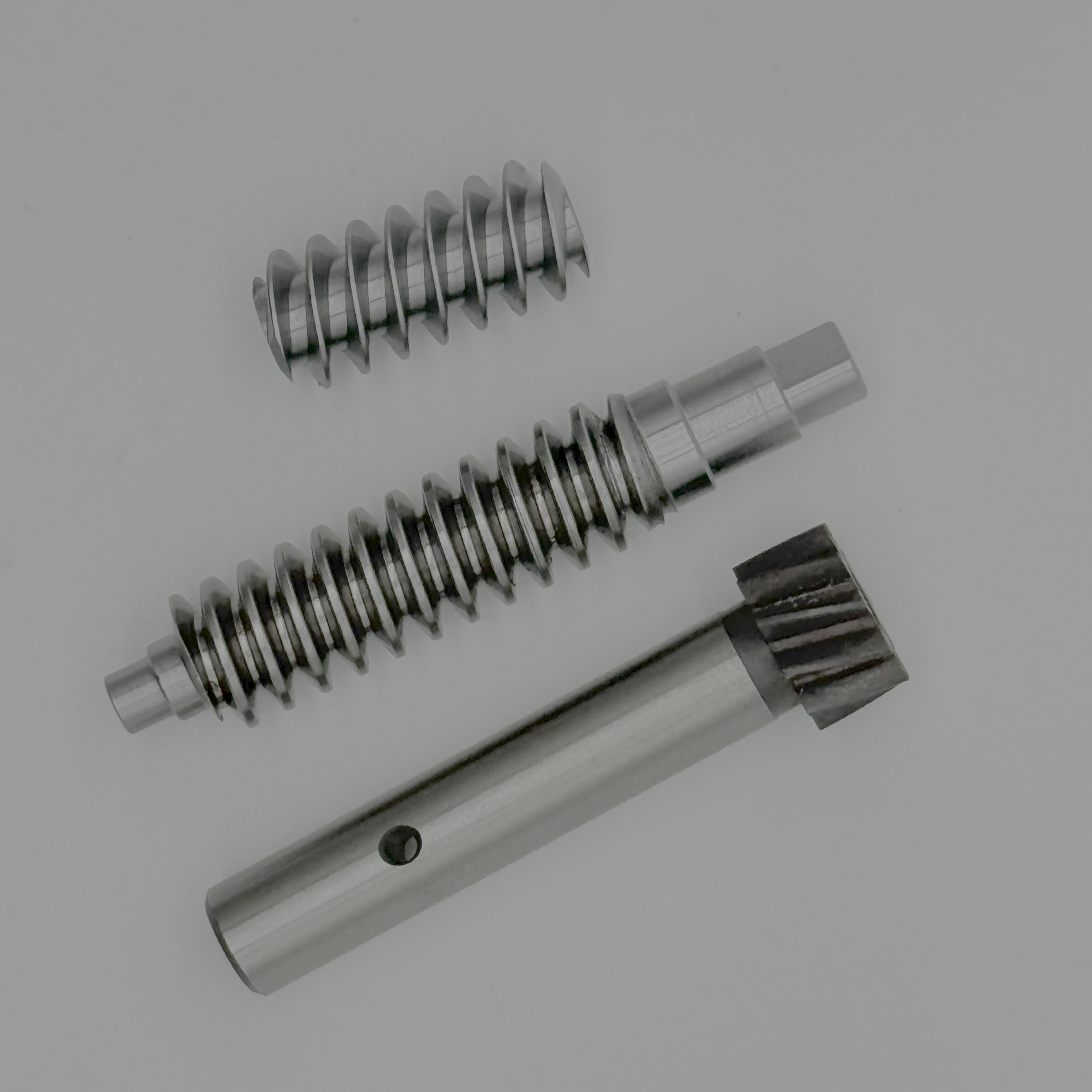 Gear worm-12