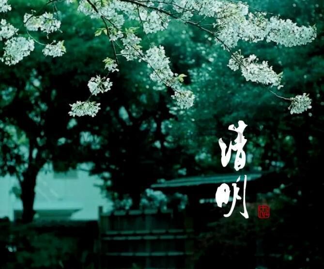 清明插图1.jpg I wish that spring will be peaceful and prosperous, and that people on earth and in heaven will be safe and sound.