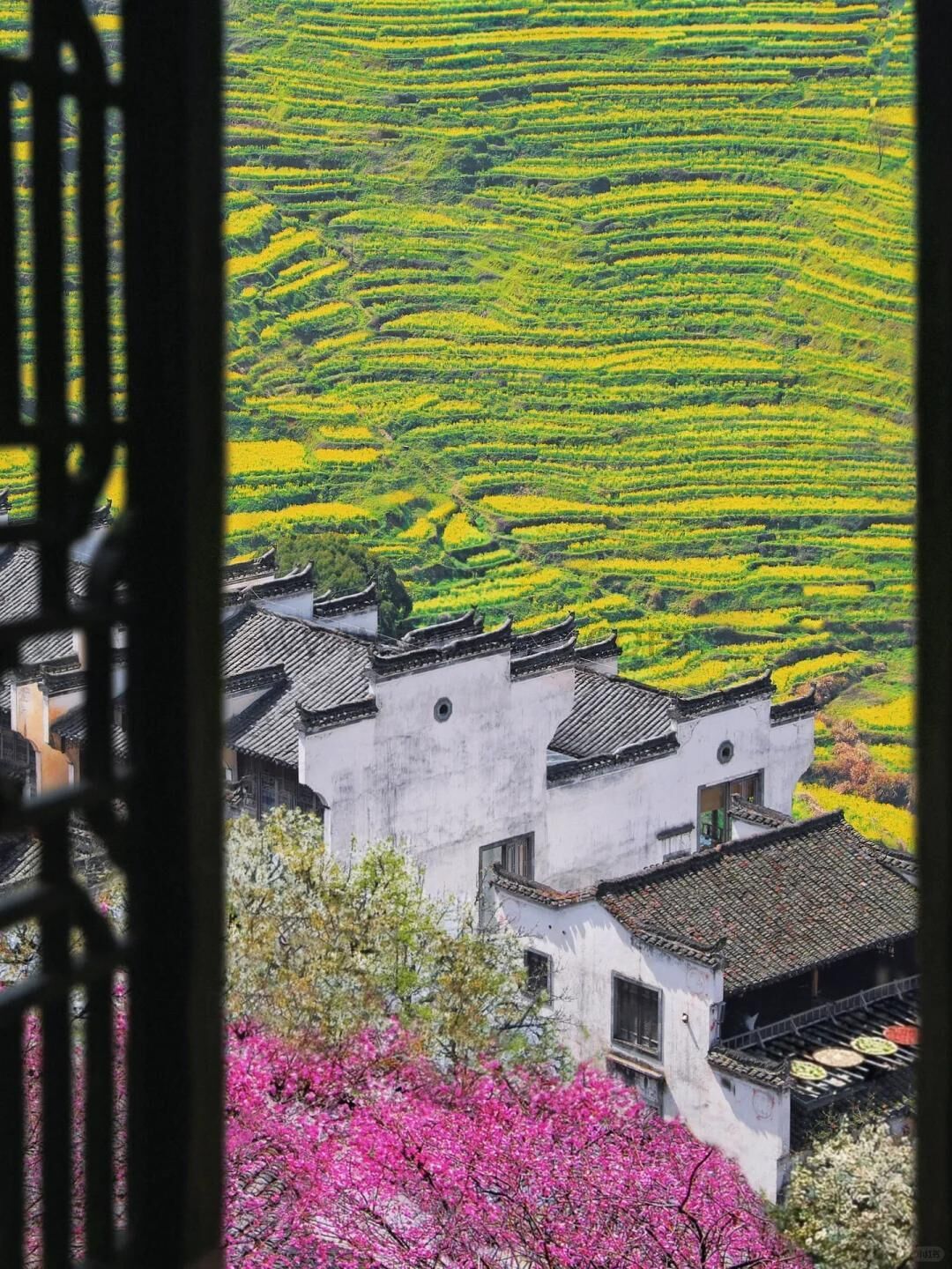 清明插图2.jpg I wish that spring will be peaceful and prosperous, and that people on earth and in heaven will be safe and sound.