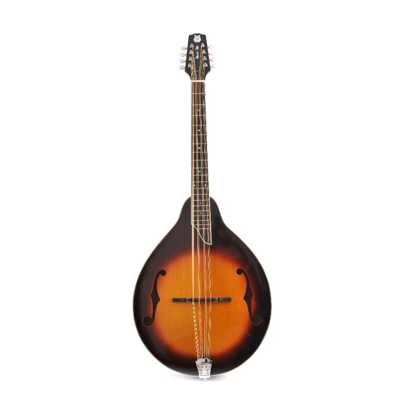 All solid wood body with carved Spruce top A style Mandocello