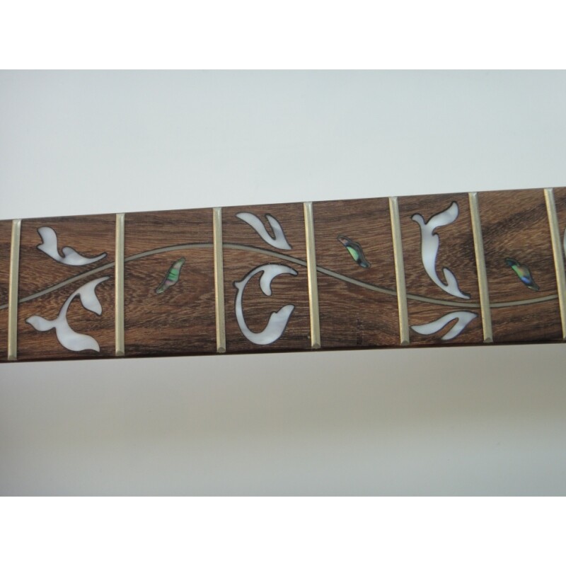 Afanti Unfinished Basswood Body Rosewood Fingerboard Double Locking DIY Guitar Kit