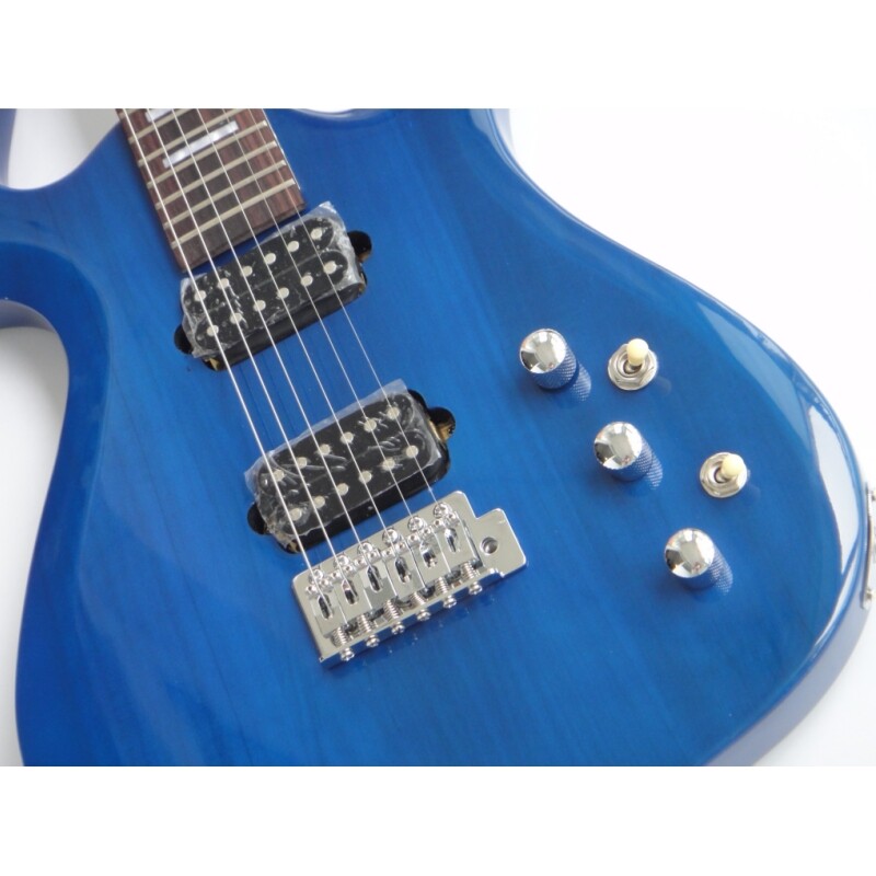 Afanti Customized Blue 6 Strings Parker Style Electric Guitar