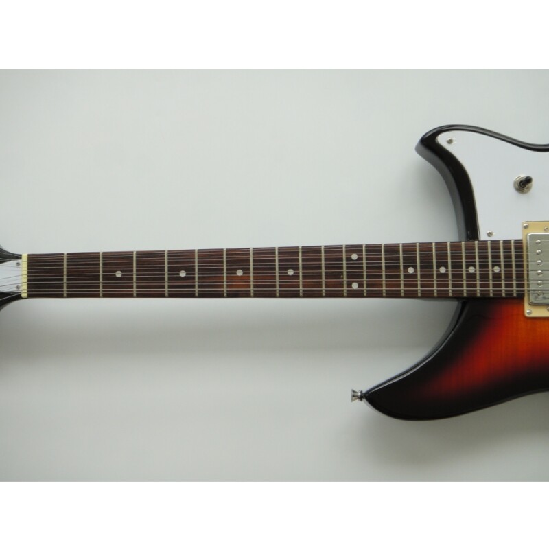 Afanti Basswood Body Maple Neck 12 String Electric Guitar