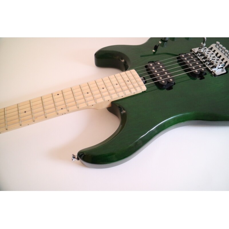 Afanti Customized 6 String Double Locking Tremolo Green Color Electric Guitar