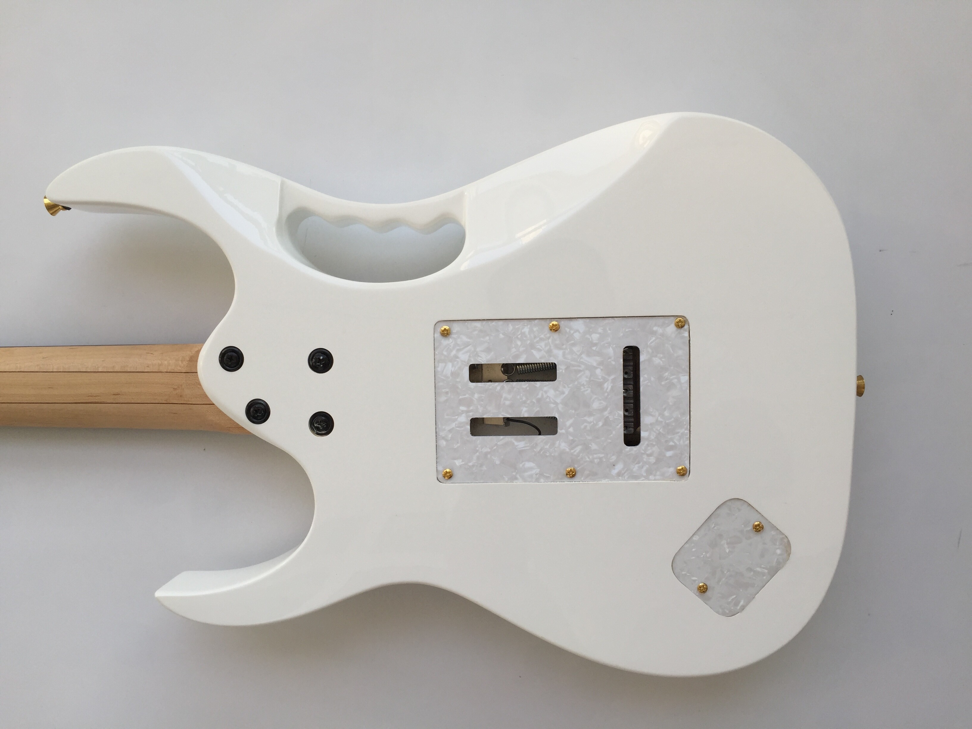 Afanti Basswood Body Flower Fingerboard Inlay Custom Electric Guitar