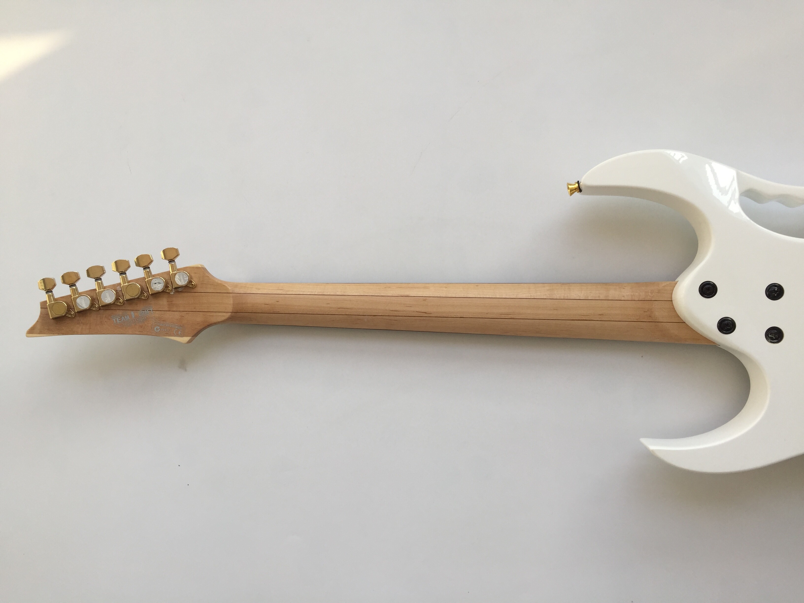 Afanti Basswood Body Flower Fingerboard Inlay Custom Electric Guitar
