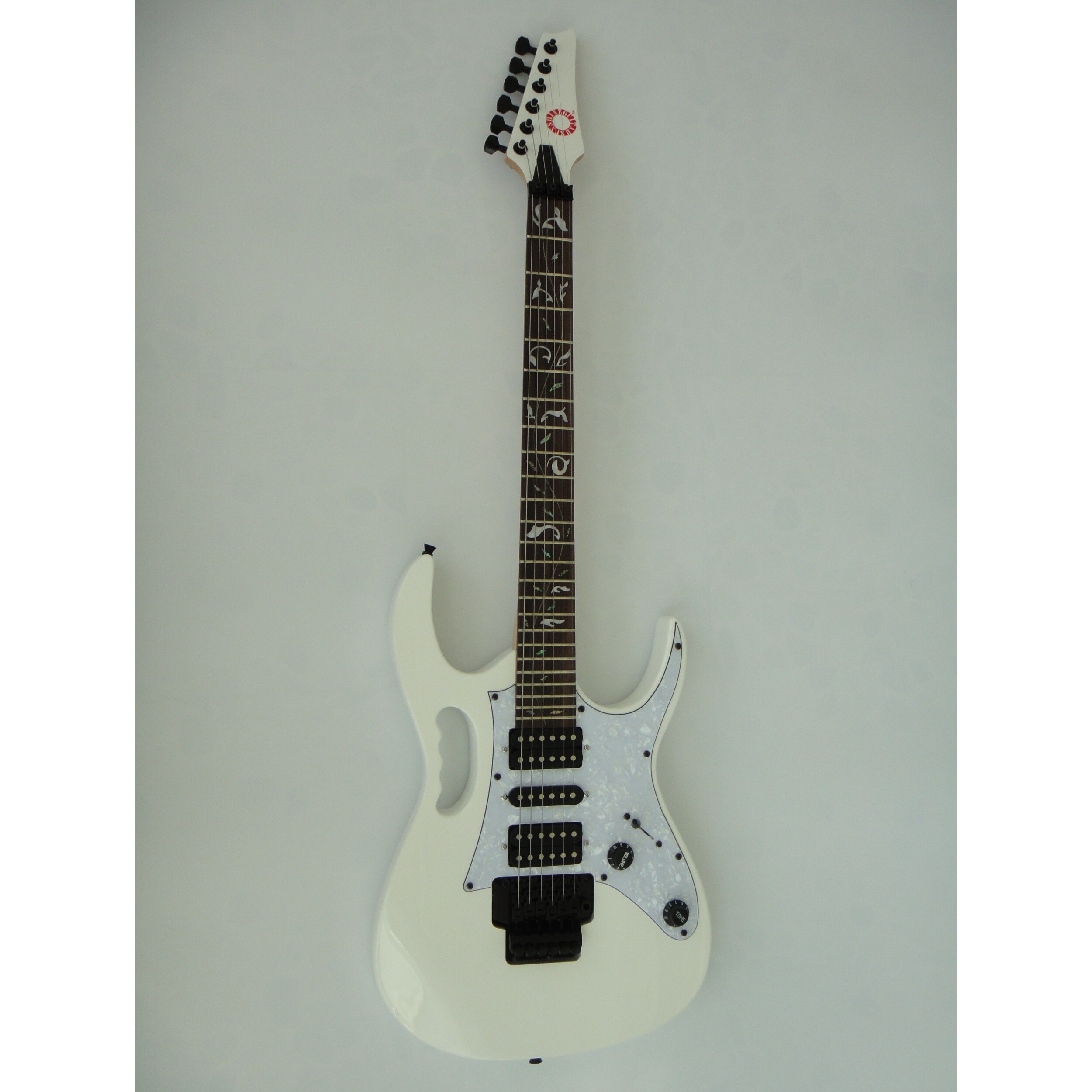 Afanti Customized Bolt On Maple Neck Basswood Body Electric Guitar