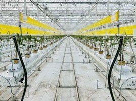 图片8 Global Liquid Cooling Information- January 15th