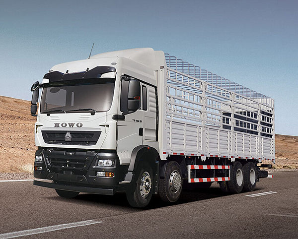 HOWO TX cargo truck