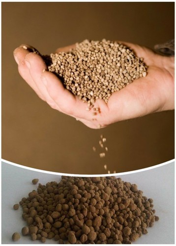 Phosphatic Fertilizer Export Current Situation