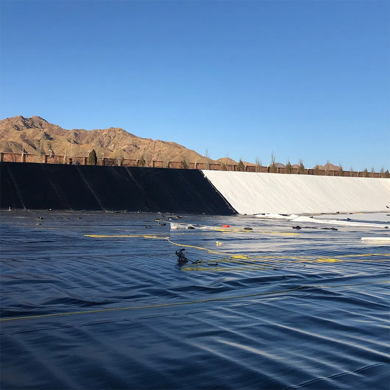 Geomembrane