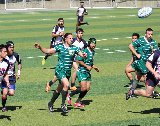 Rugby turf field