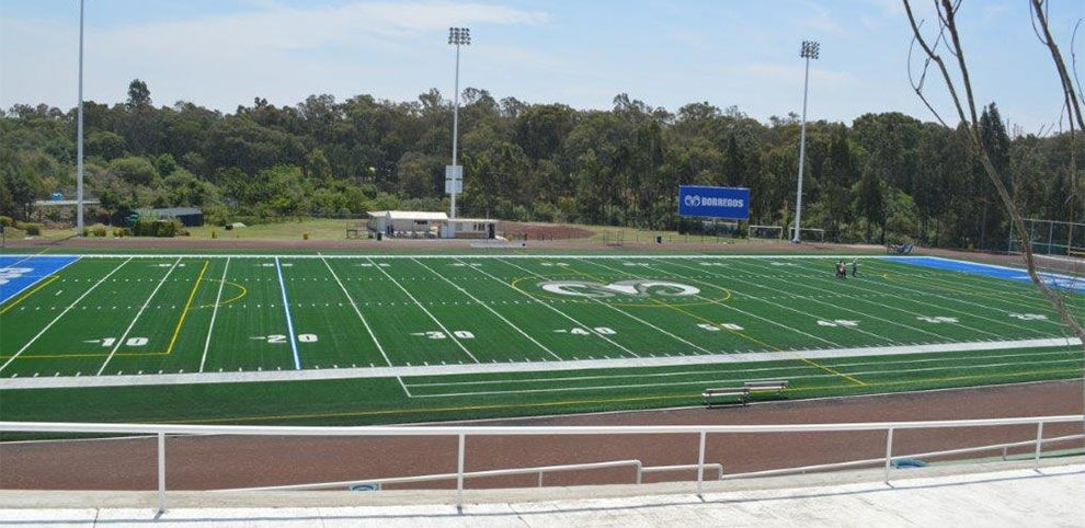 Rugby turf field