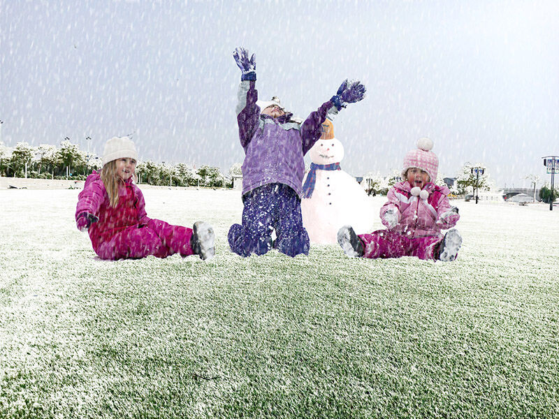 How to clean up your turf after snow How to clean up your turf after snow