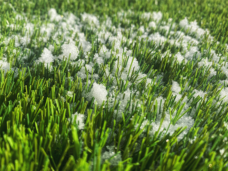 Snow and Artificial Turf