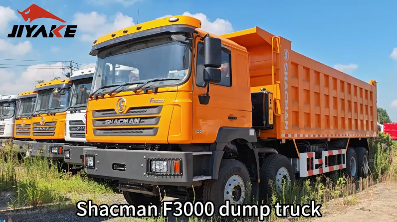 Shacman Dump Truck (3)