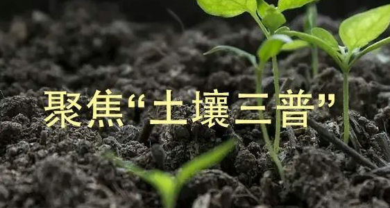 Application of Fully Automatic Soil Organic Matter Analyzer in Detection 【 Jinan Shengtai Technology ST308G Soil Organic Matter Analyzer 】 Application of Fully Automatic Soil Organic Matter Analyzer in Detection 【 Jinan Shengtai Technology ST308G Soil Organic Matter Analyzer 】