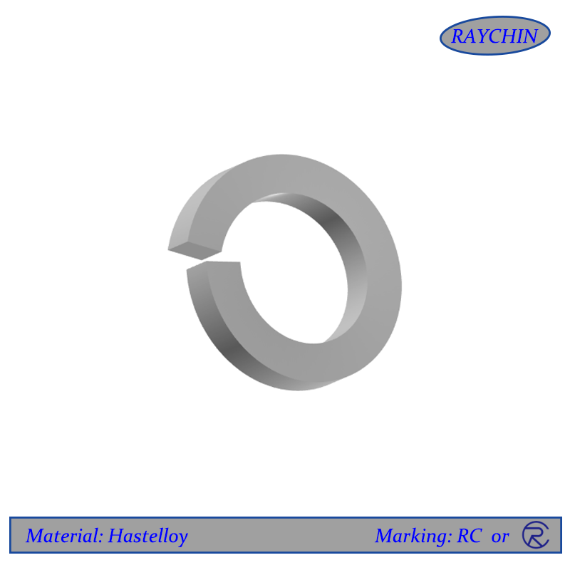 Hastelloy Washers