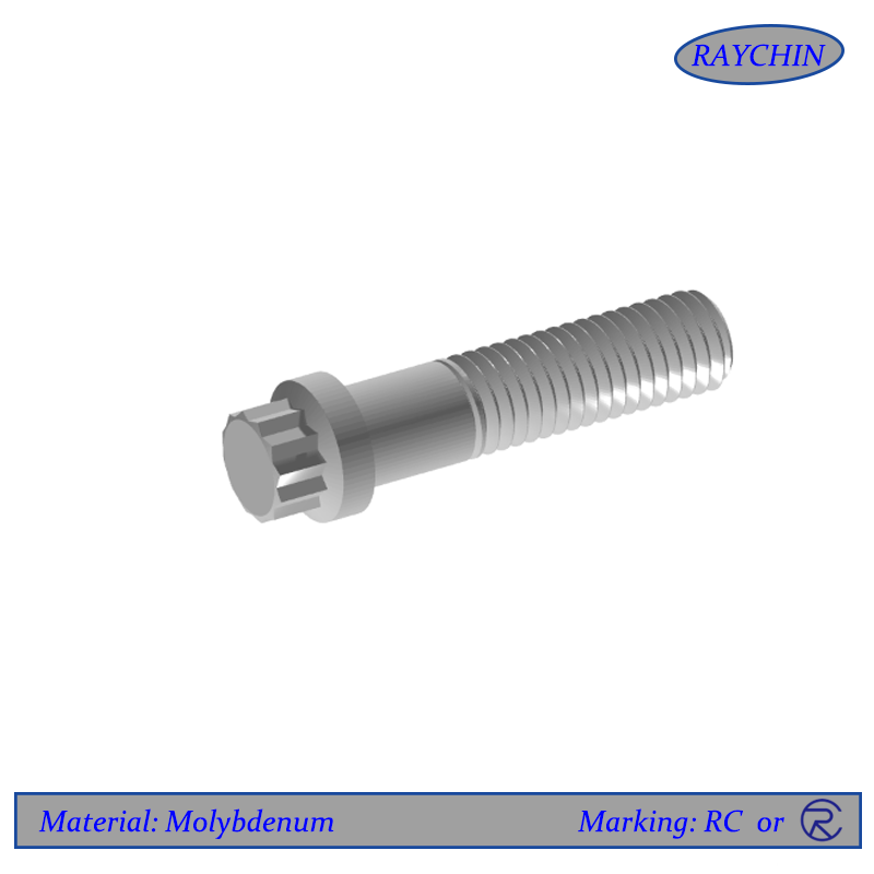 Molybdenum Screws