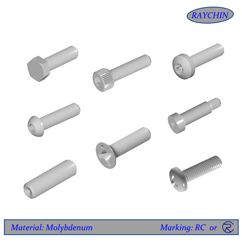 Molybdenum Screws