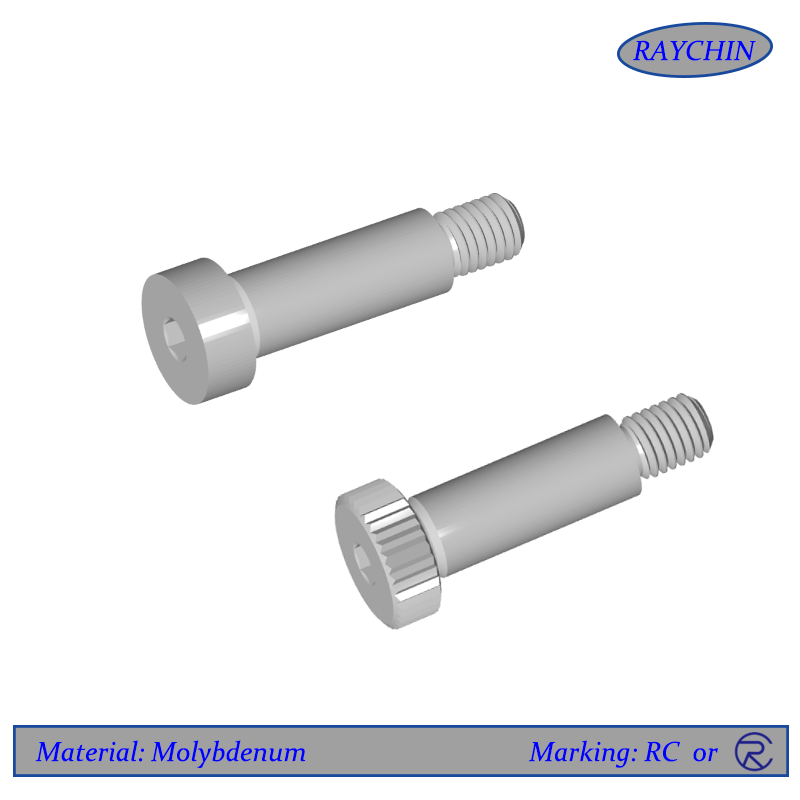 Molybdenum Screws