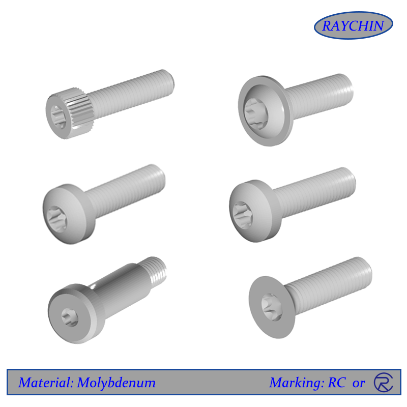 Molybdenum Screws