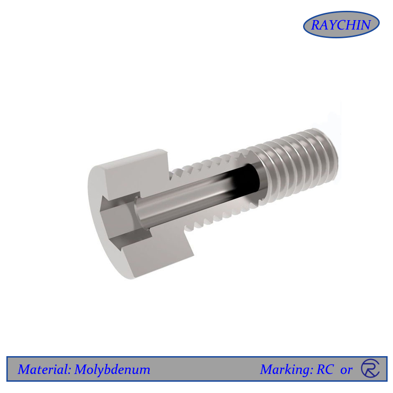 Molybdenum Screws