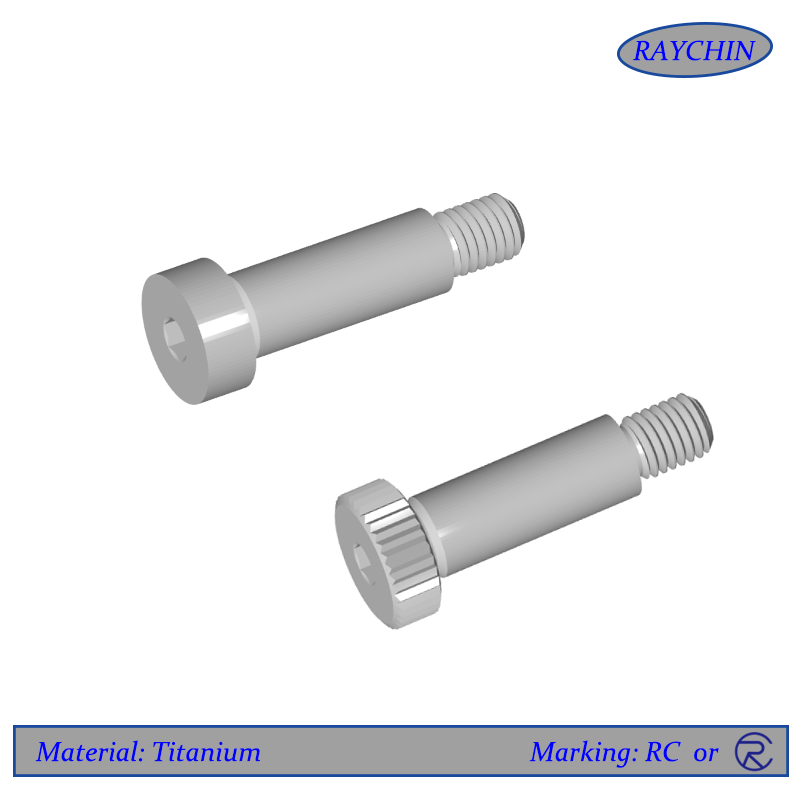 Titanium Screws