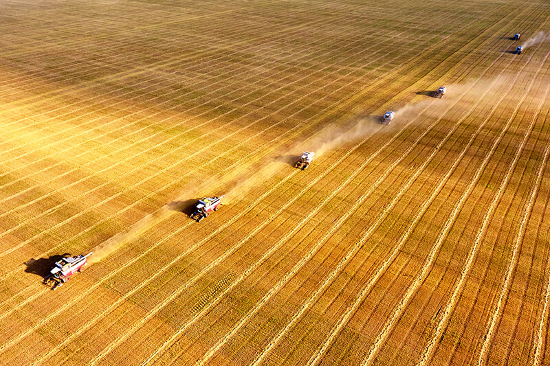 Agriculture.jpg
