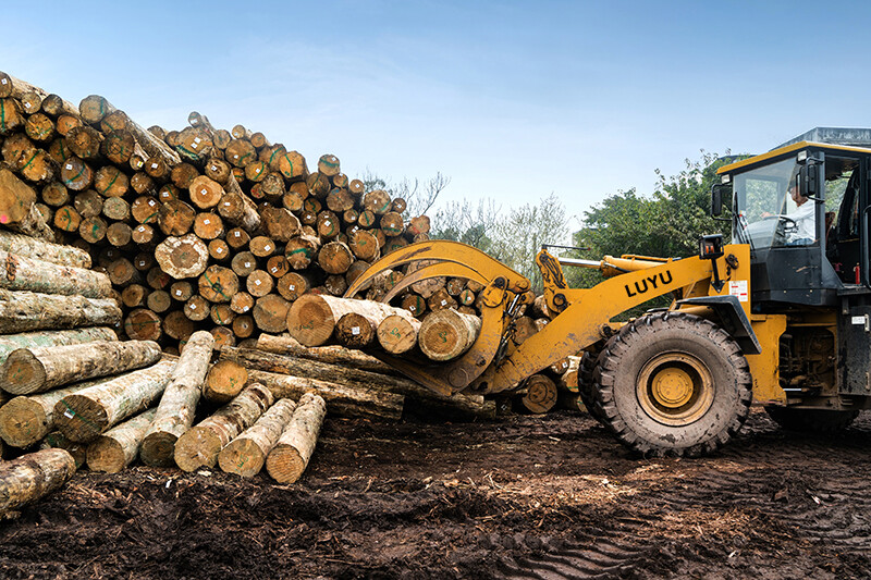 Forestry&Logging.jpg