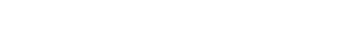 立菲英文logo.png