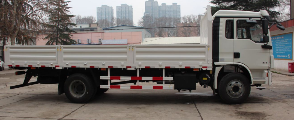 L3000 4X2 Cargo Truck