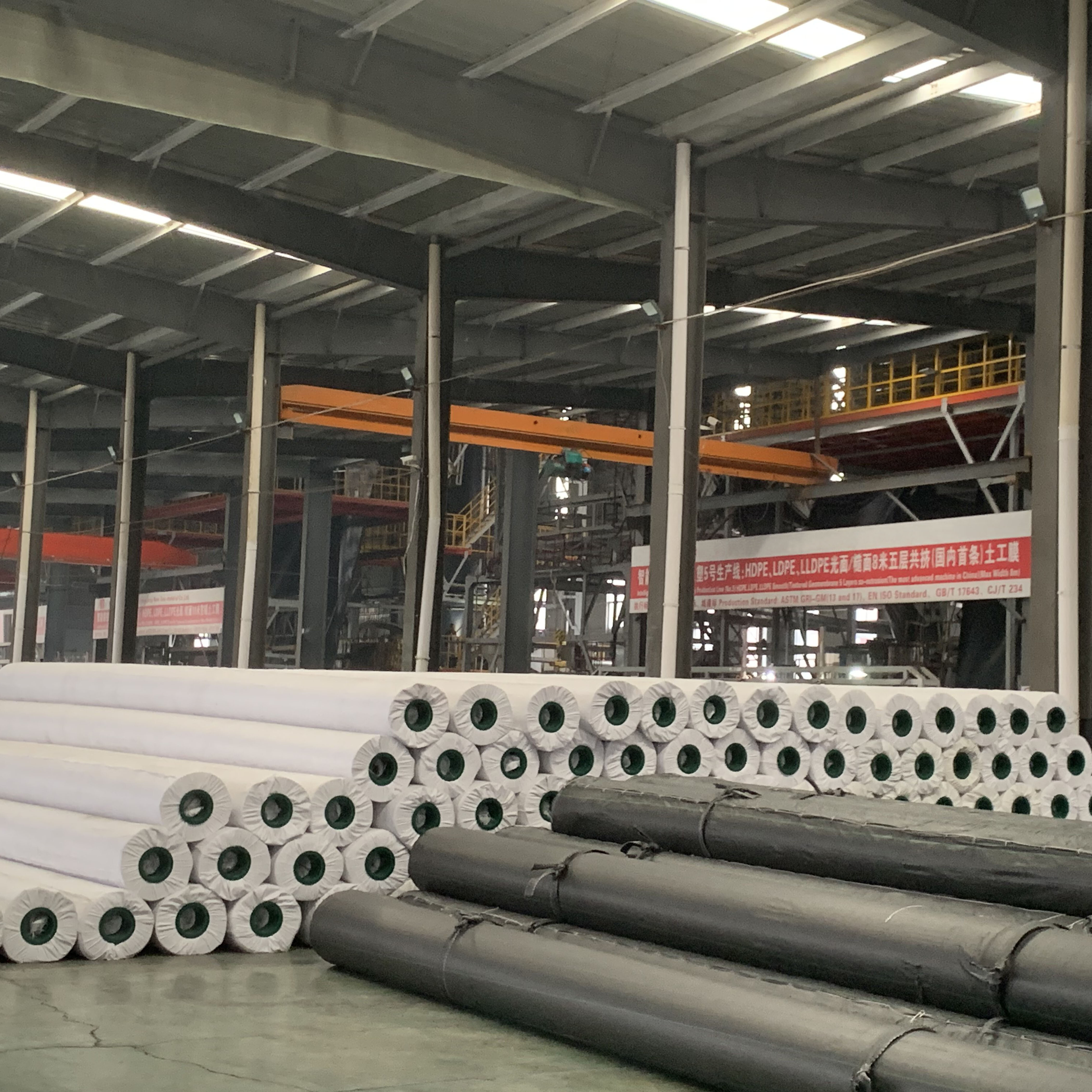Geogrid