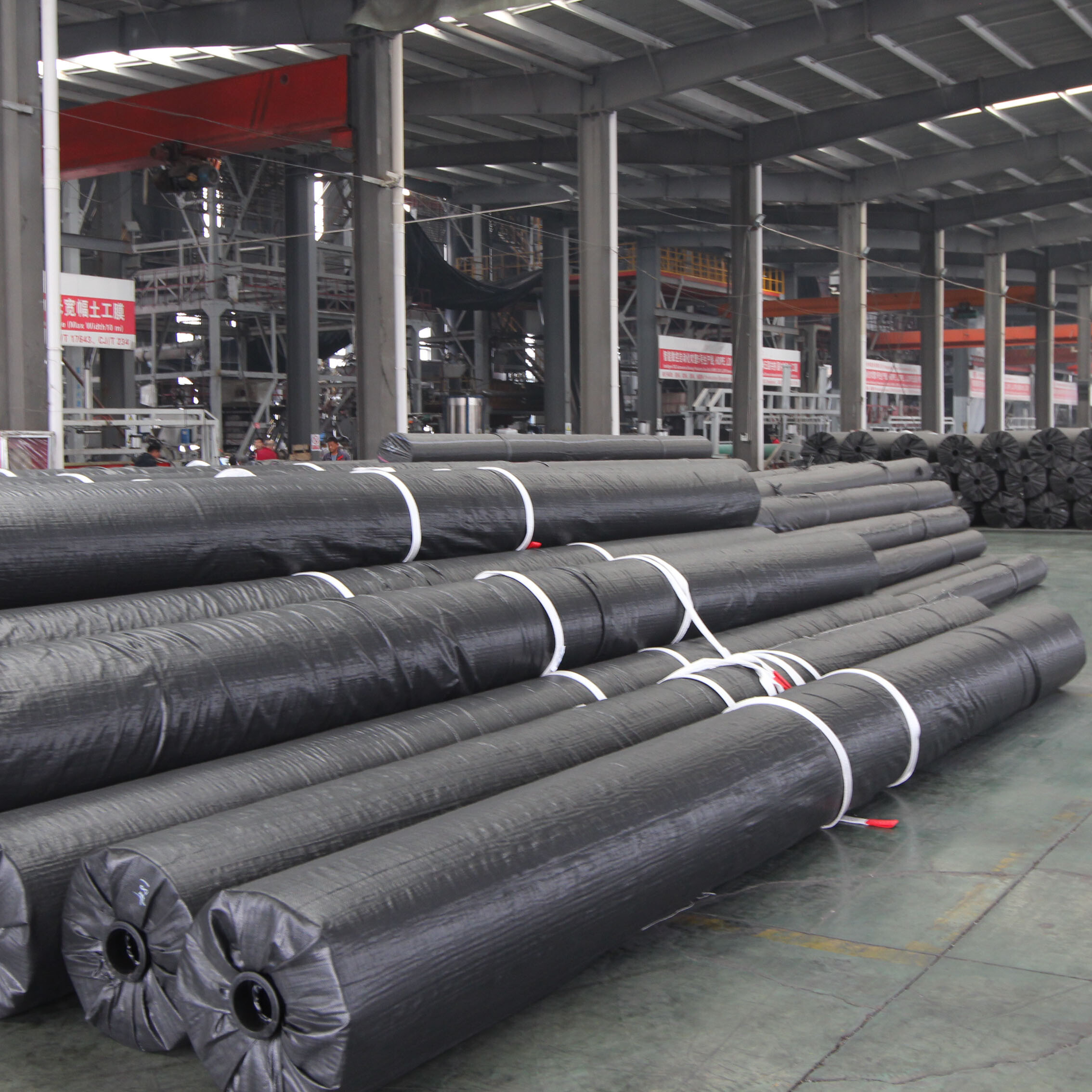 Geogrid