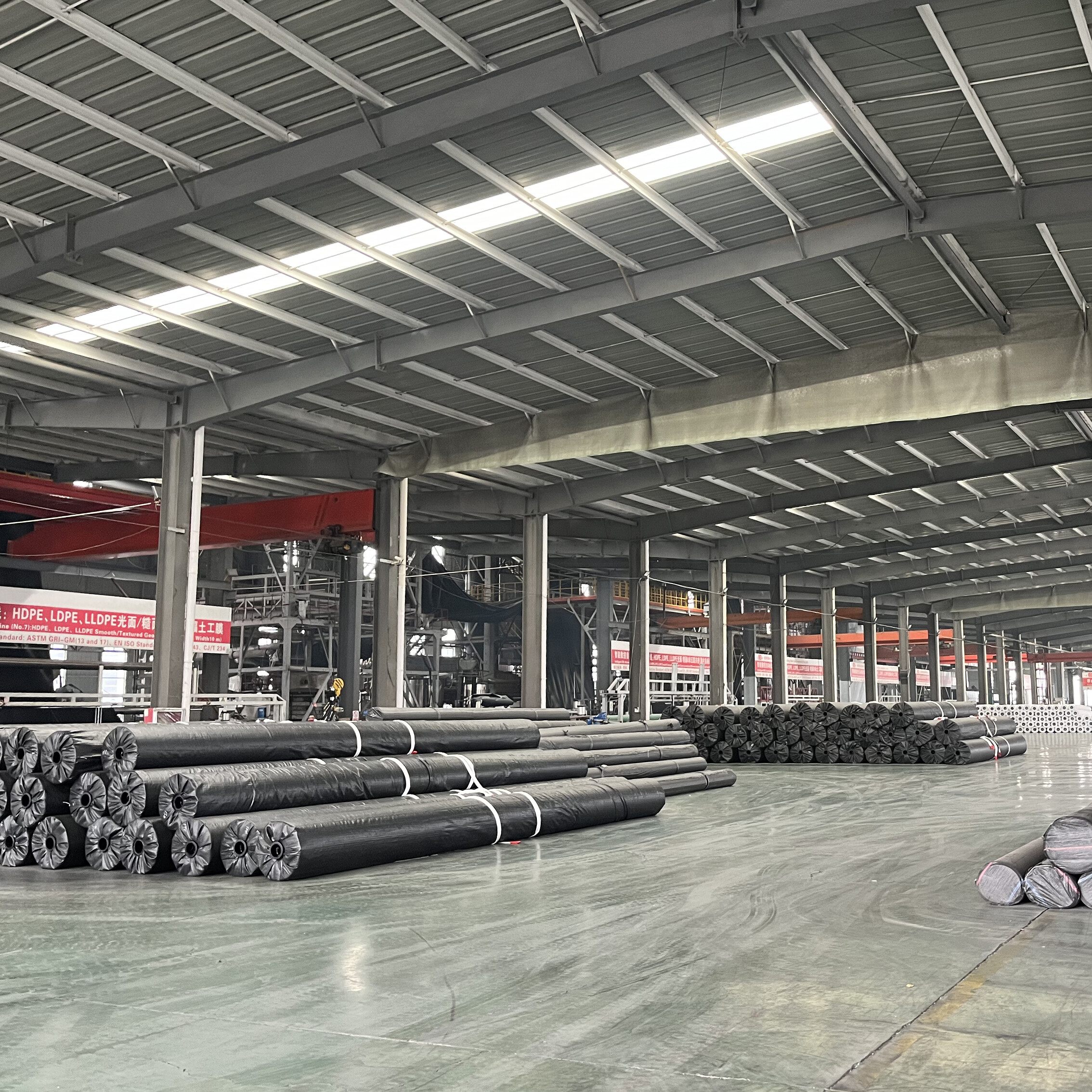 Geogrid