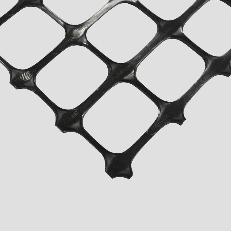 Geogrid