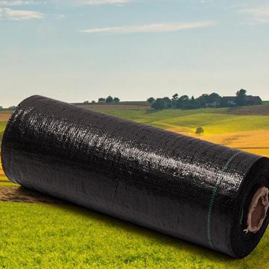 Garden Ground Cover Fabric