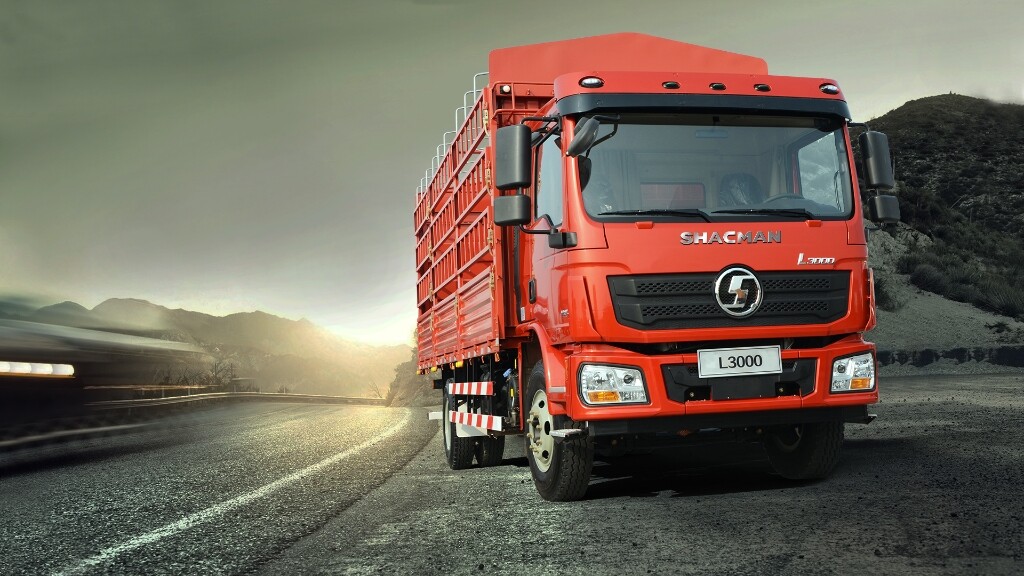 camion catgo.jpg