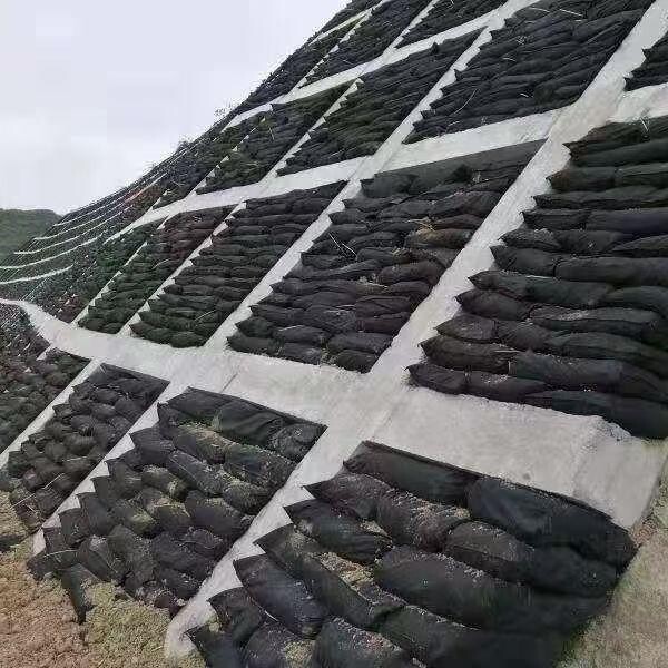Bolsa ecológica negra