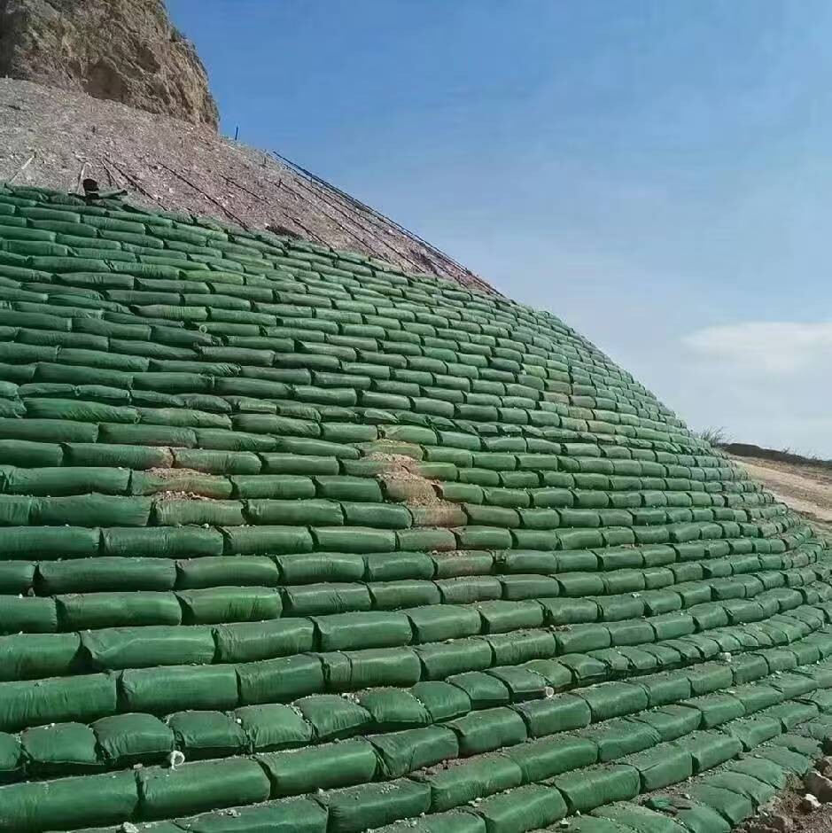 Sac écologique vert