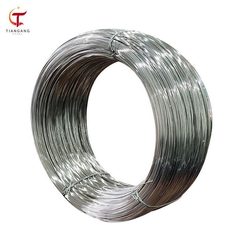 310S Stainless Steel Wire