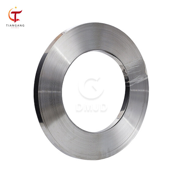 Stainless Strip