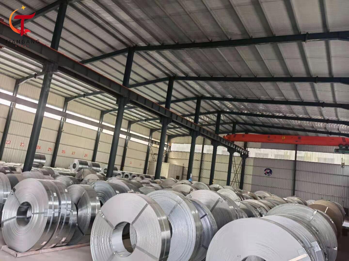 Stainless Strip