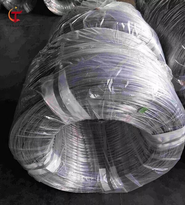 DX51D+Z Galvanized Steel Wire