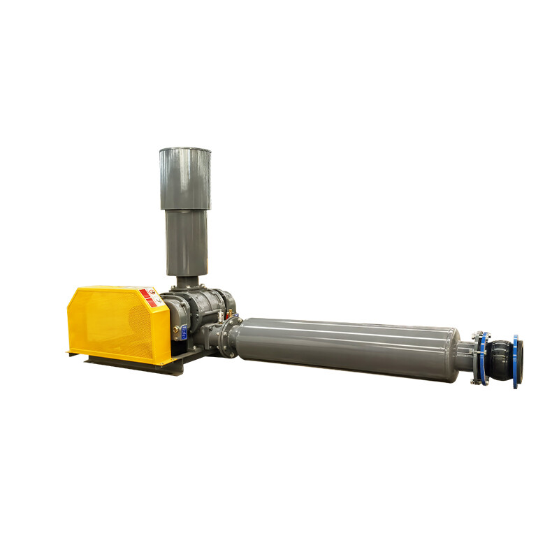 MBTSR roots air blower